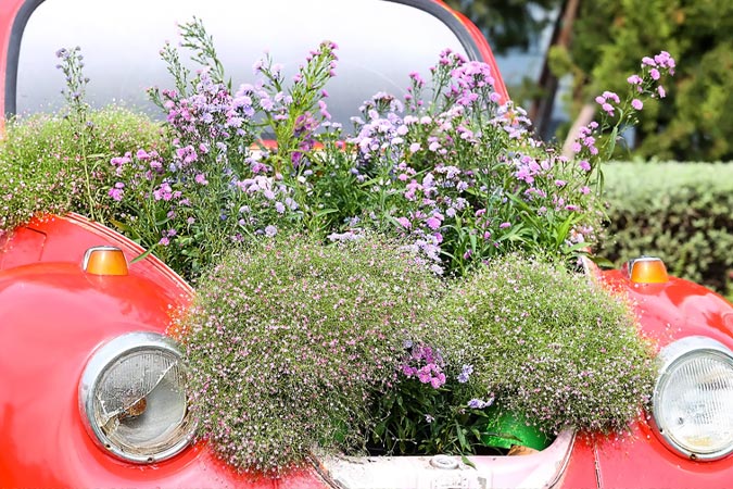 Old Cars Used as Planters