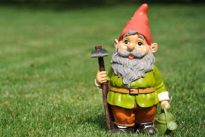 Gnomes