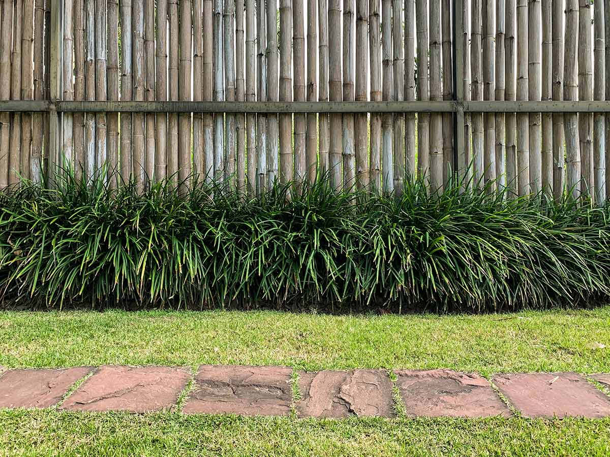 Bamboo Fencing