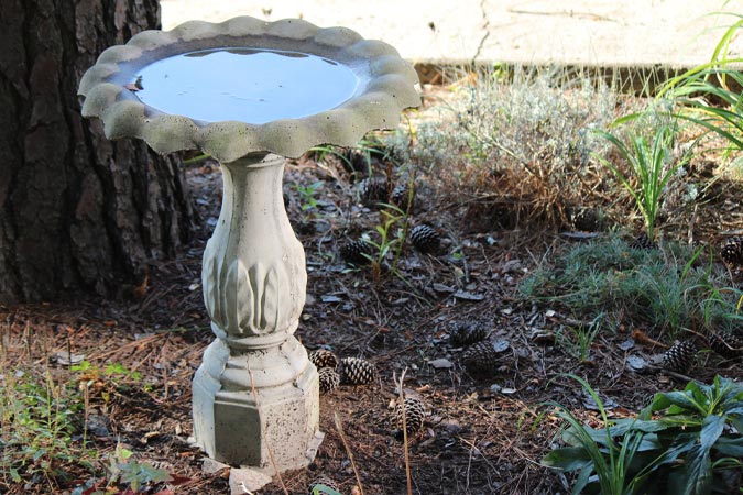 Bird Baths