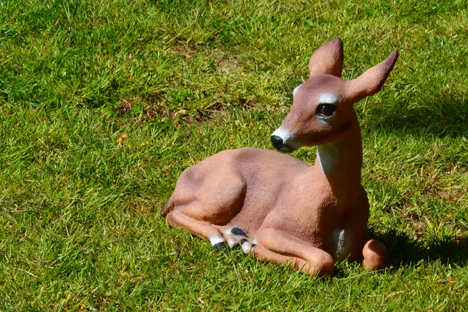 Fake Deer