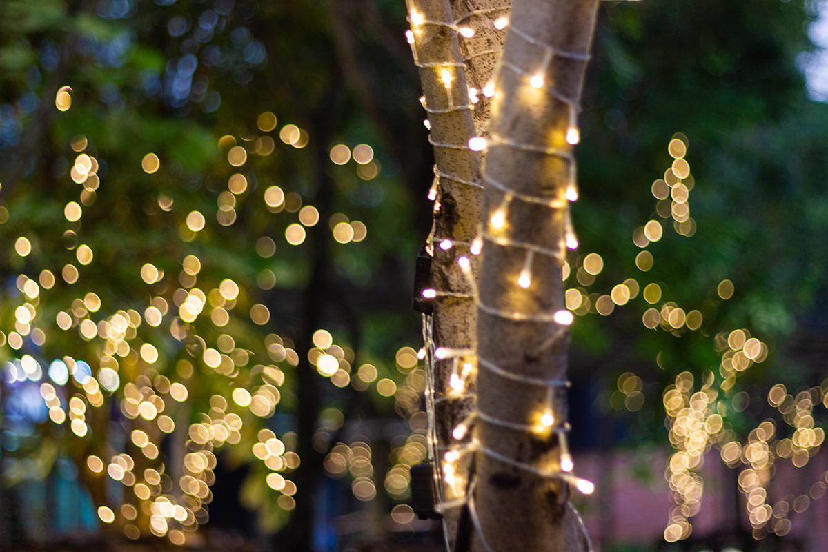 Christmas Lights in July