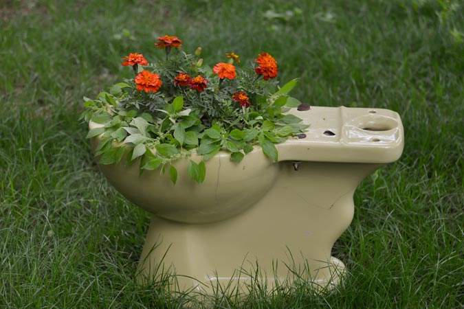 Toilet Planters