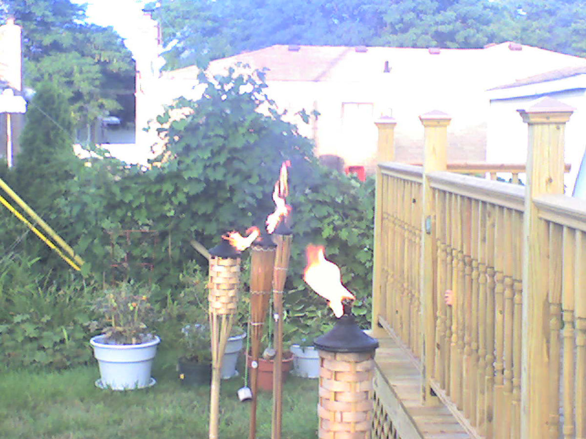 Tiki Torches