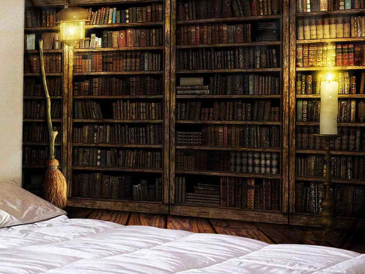 7. Bookcase Wallpaper