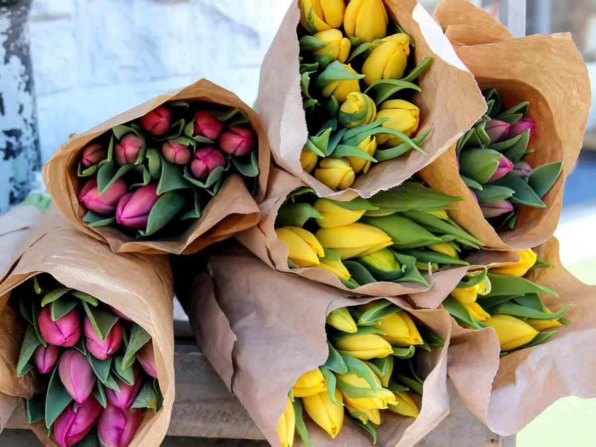 Fresh Cut Flowers