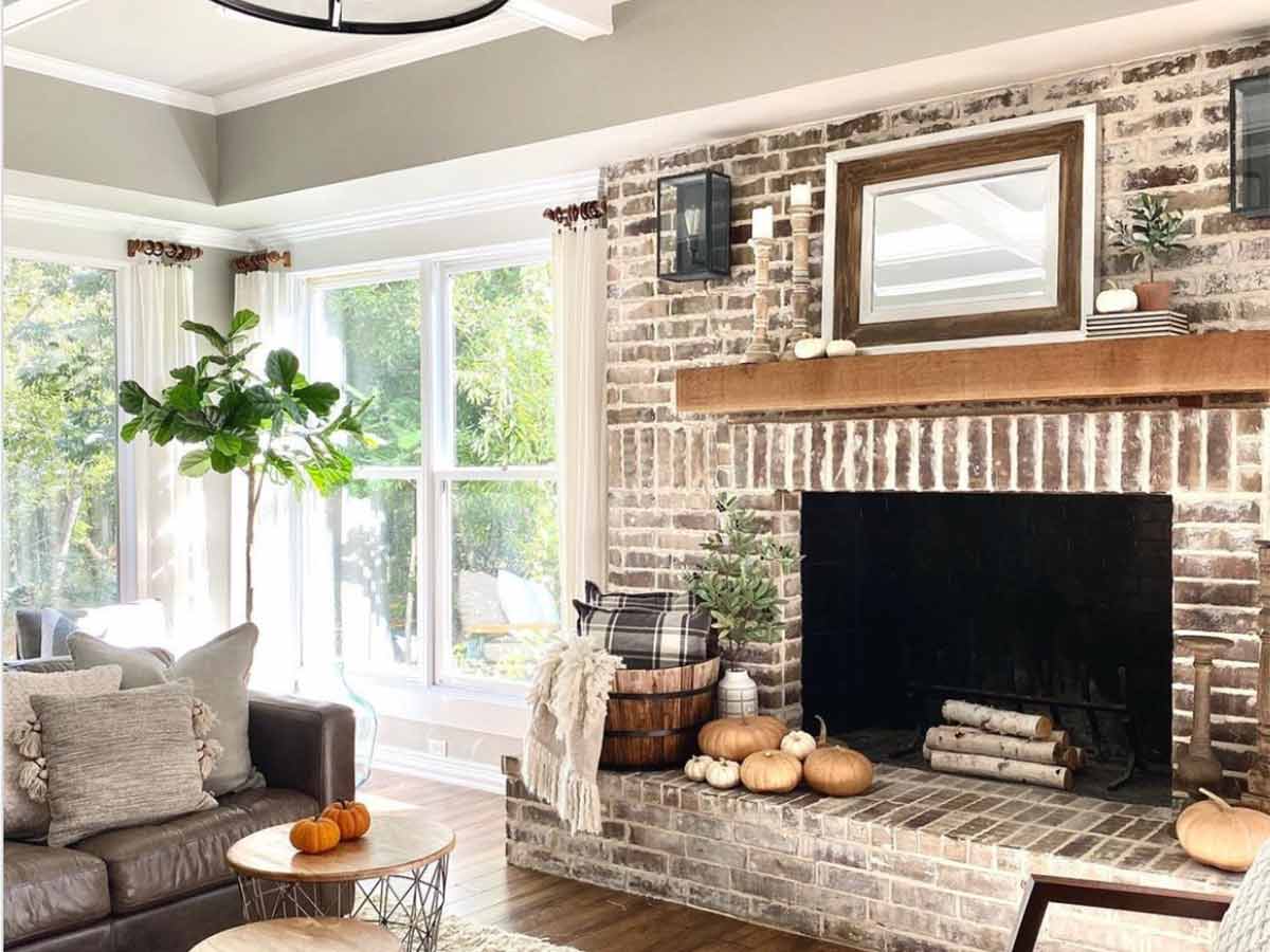 Fiddle Leaf Figs