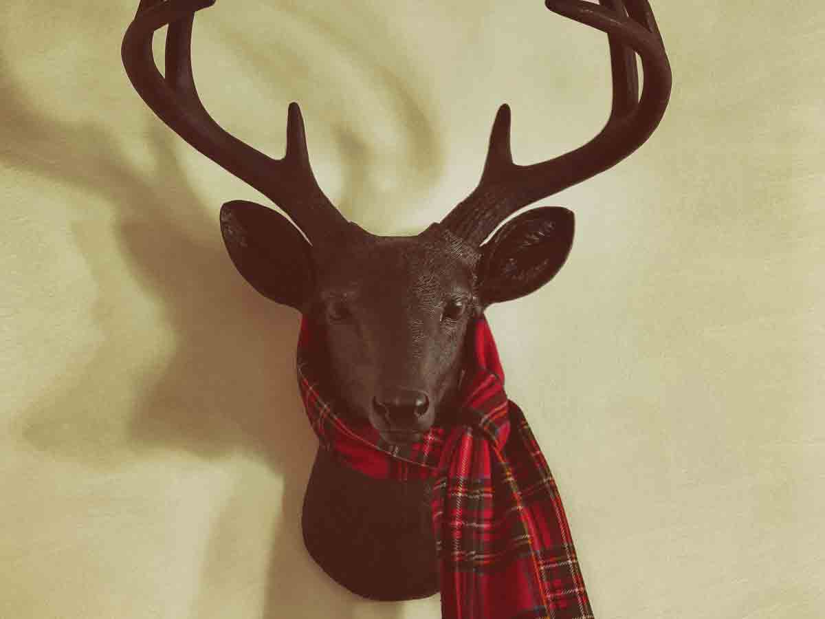 Faux Taxidermy