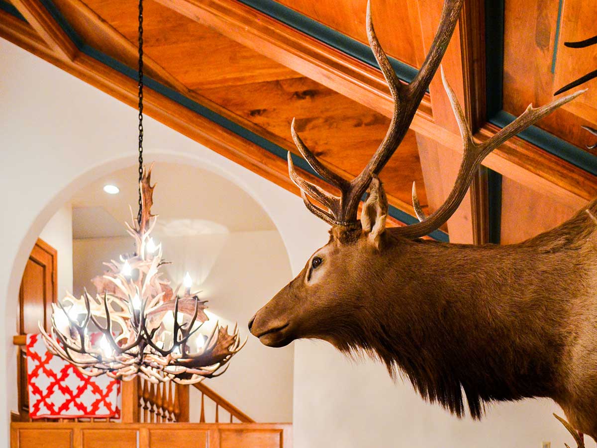 Antler Decorations