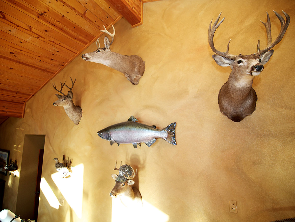 Too Much Taxidermy
