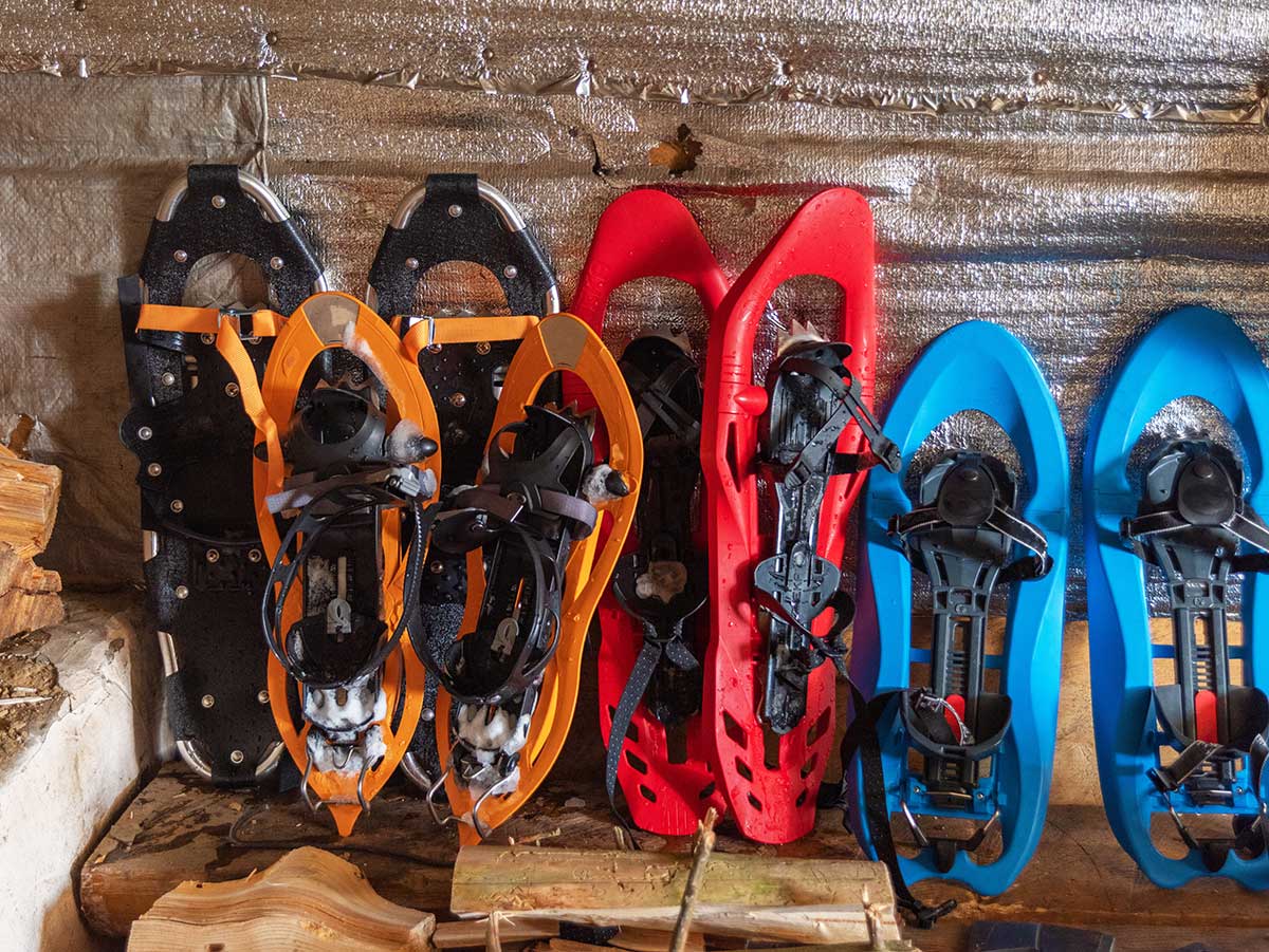 Skis and Snowshoes