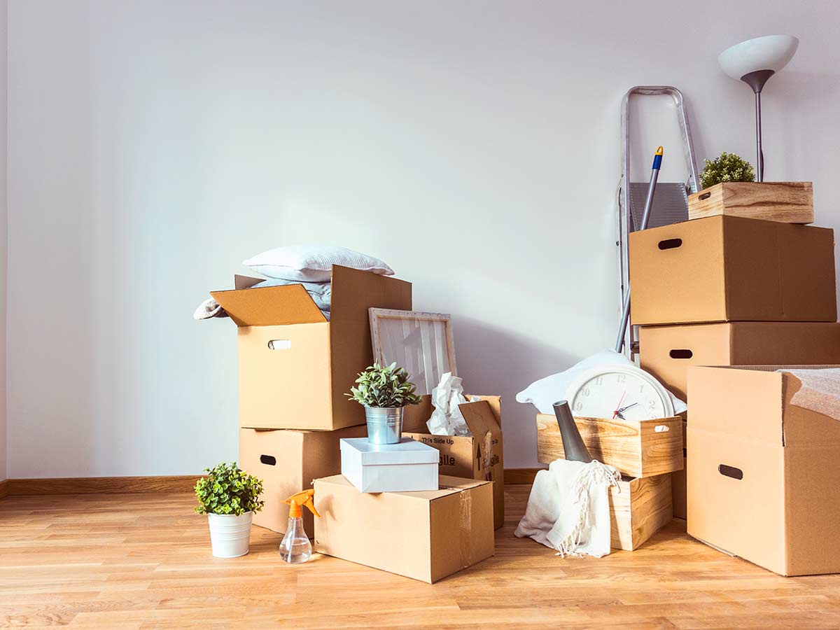 Cajas de cartón