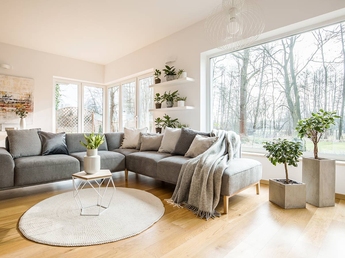 Prominent Windows with No Curtains or Blinds