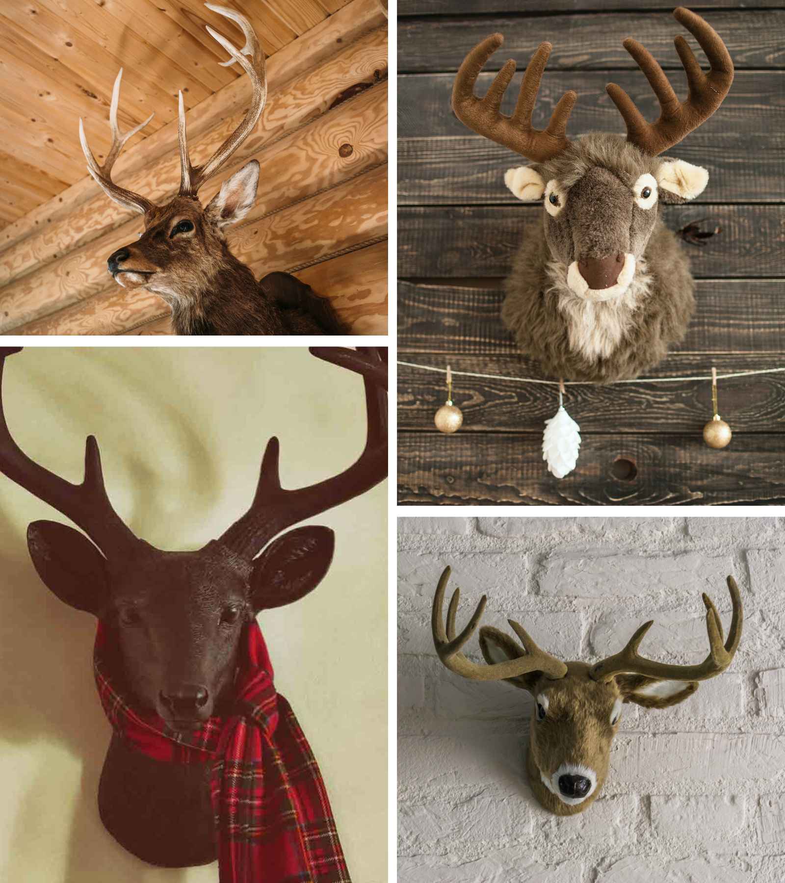 Faux Taxidermy