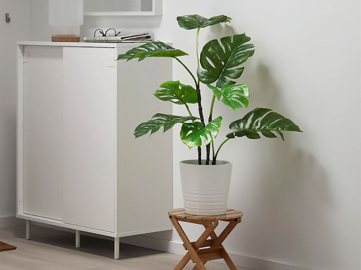 Fake Plants