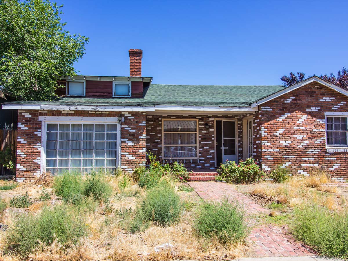 Overgrown Landscaping