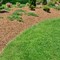 Caring for Your Lawn Year-Round