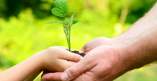parent passing off organic plant to child