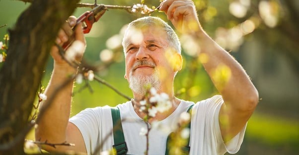 a man with arthritis enjoying his gardening hobby