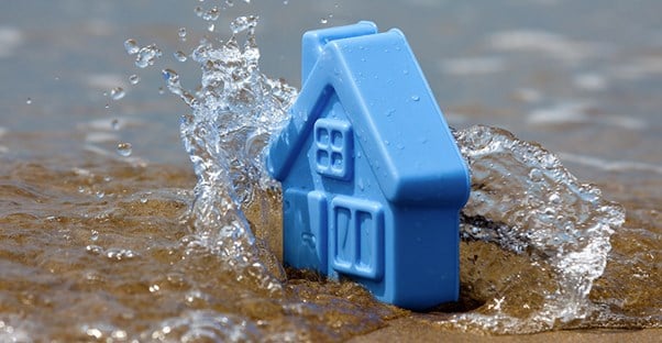 toy house in water