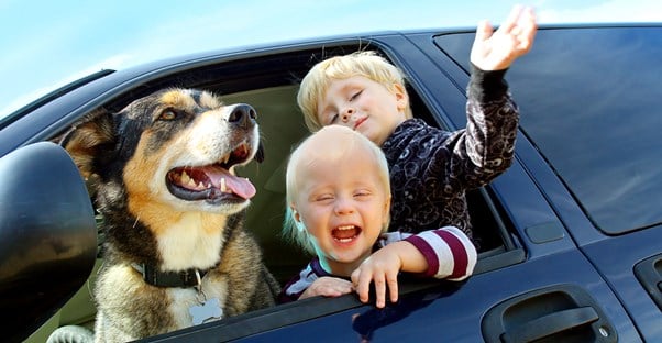 Children and pets are both parts of your family, so insure them to ensure their health