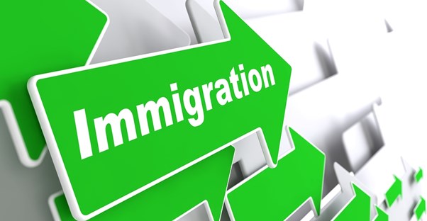 green arrows with the word immigration on them