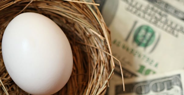 Roth IRAs are retirement nest eggs