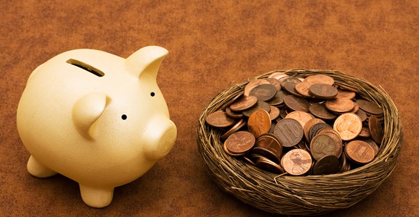 Your piggy bank guards your penny stock