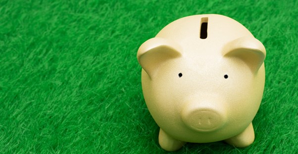 A piggy bank on green grass to represent how savings accounts work.