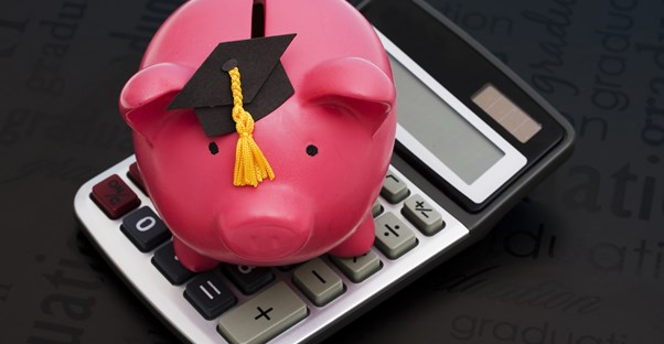 Pig in a graduation cap on a calculator