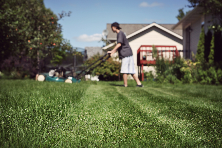 Landscaping