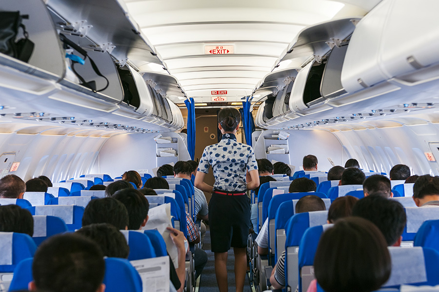 Flight Attendant
