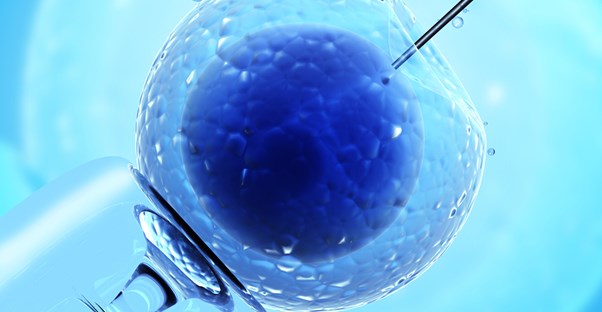 understanding in vitro fertilization
