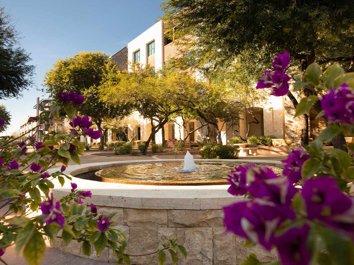8. Surprise, Arizona