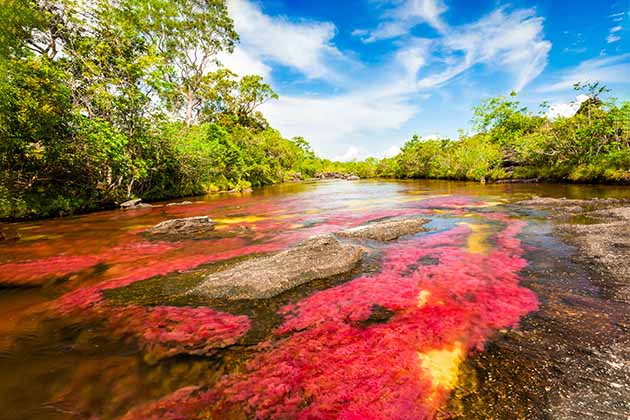 Cano Cristales, Colombia