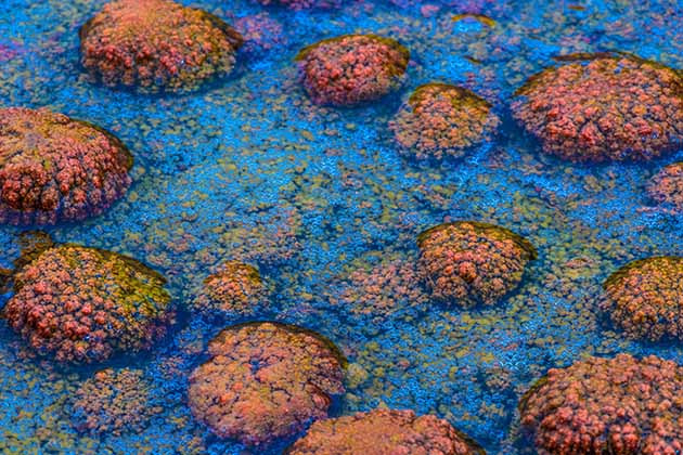 Crystal Geyser, Utah