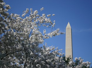 Visiting Washington, D.C. on a Budget