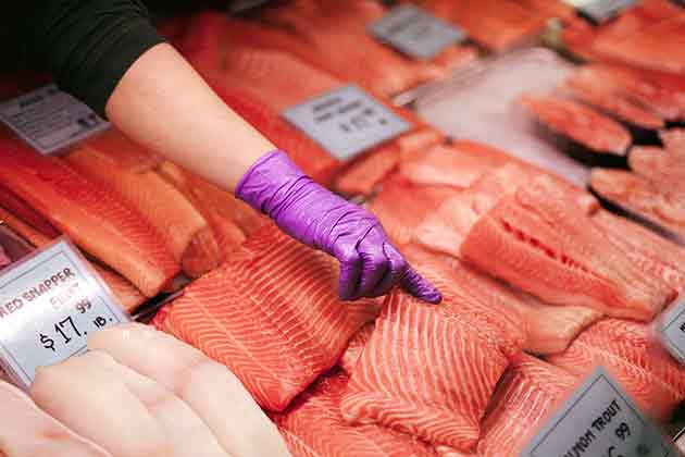 Salmon
