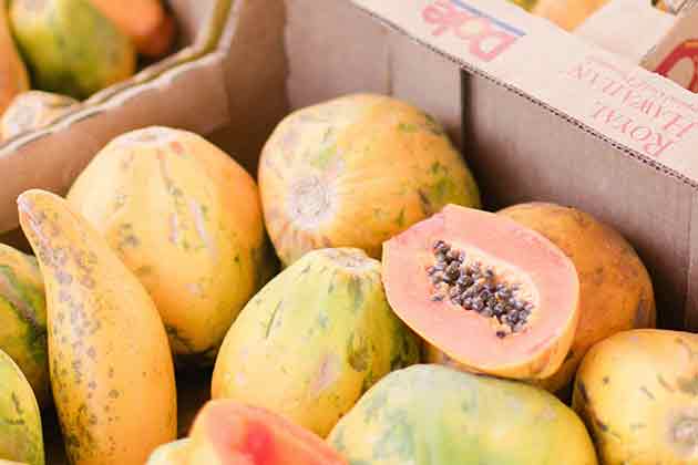 Papaya, Corn, and Soy