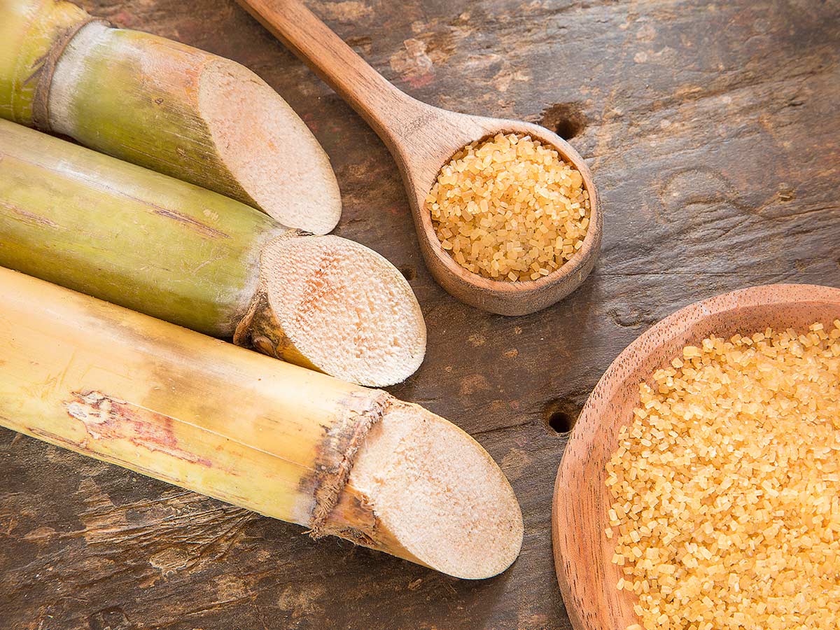 Sugar Cane