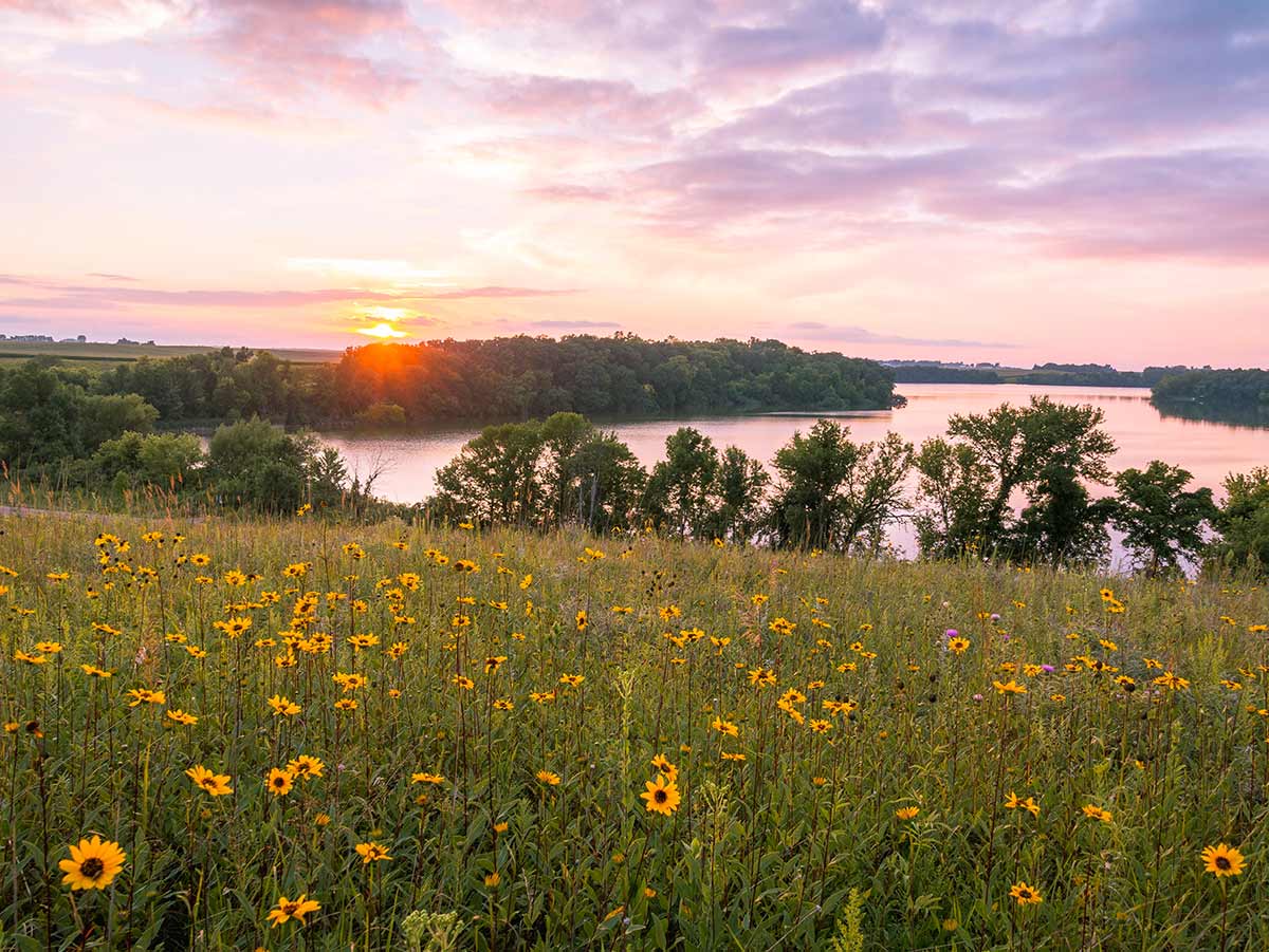 Minnesota—Best