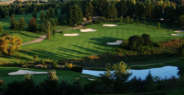 an overview of a golf course green among the trees