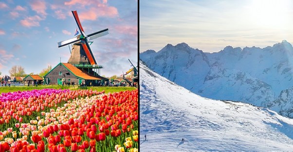 tulips in the netherlands during spring and a snow covered mountain in winter