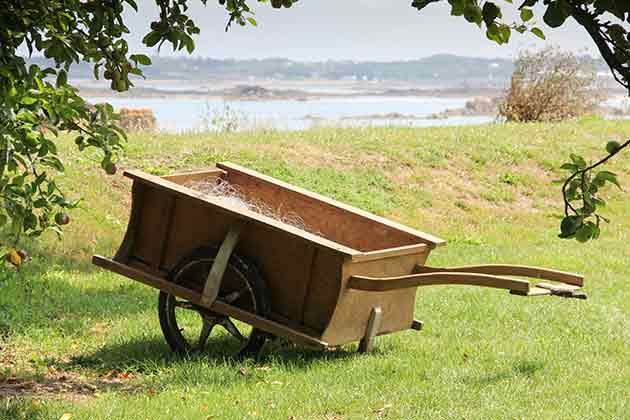 “Don’t hop on the bandwagon.”