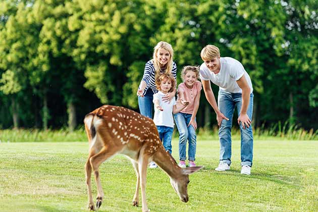 “He passed the buck!”