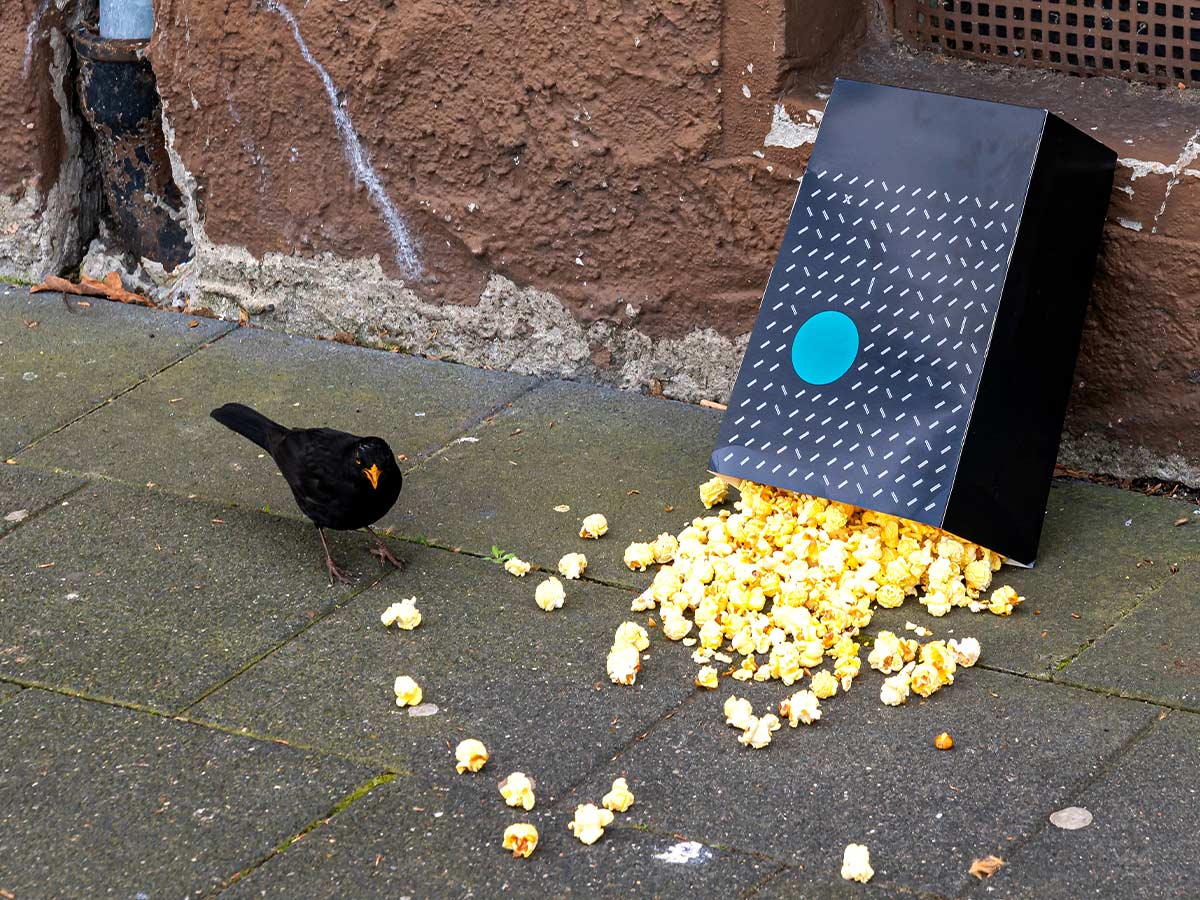 “That movie was for the birds.”