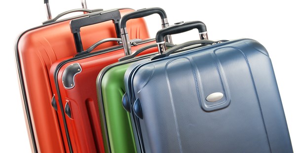 an array of luggage options on display to choose from