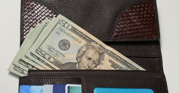a travel wallet is filled with $20 bills
