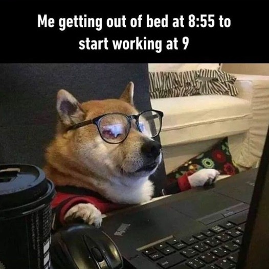 Can I Go Back To Bed Yet?