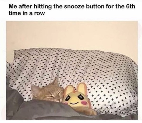 Just Five More Minutes